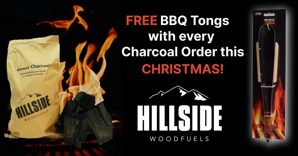 HSWF Christmas Giveaway promo