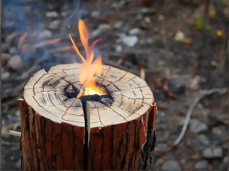 Burning log candle.